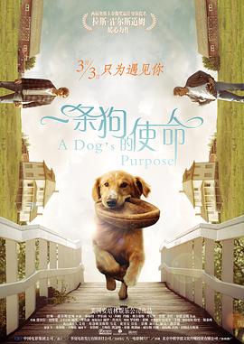 夜夜春夜夜透