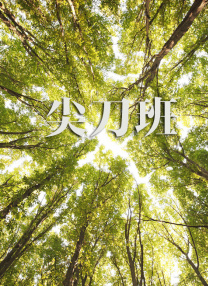 突袭2:暴徒