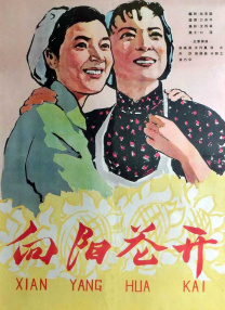 国产精品视频播放